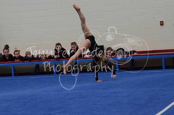 1DSC_3529
