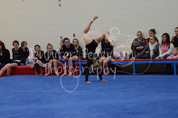 1DSC_3542