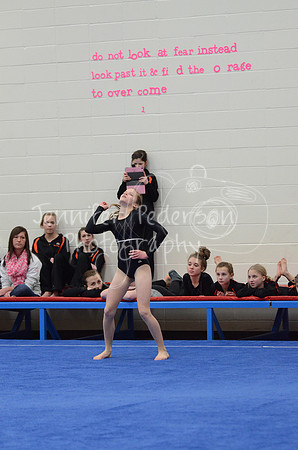 1DSC_3632
