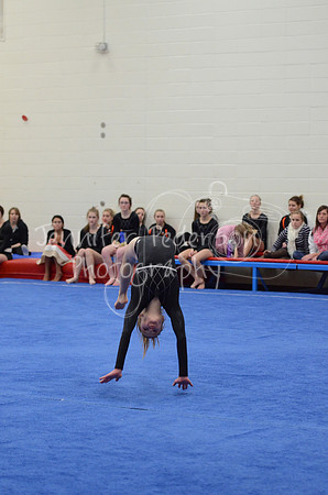 1DSC_3645