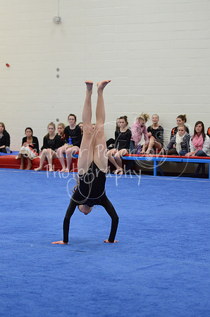 1DSC_3646