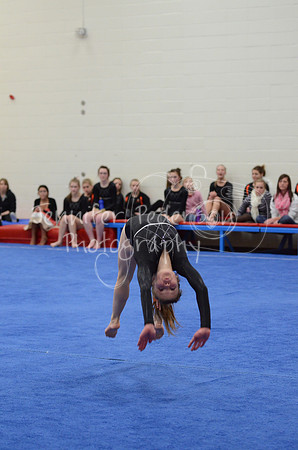 1DSC_3649