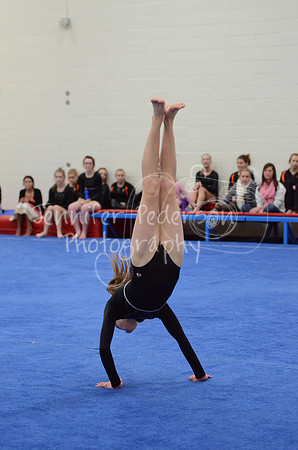 1DSC_3650