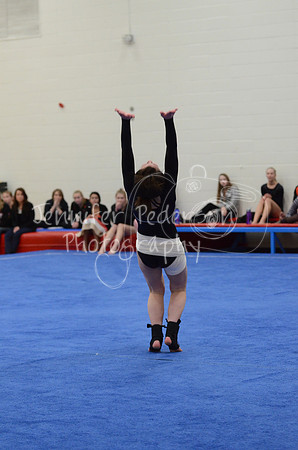 1DSC_3684