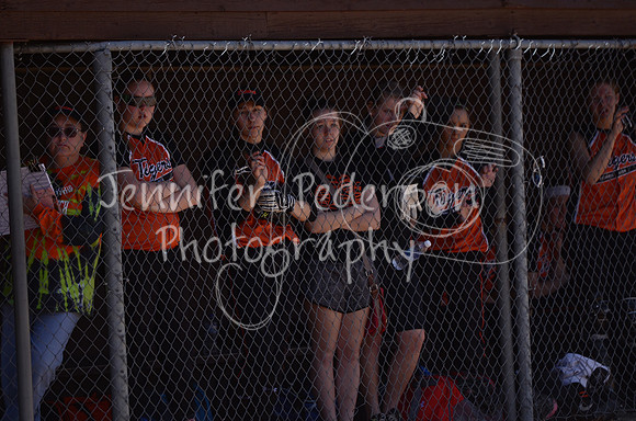 DSC_0701