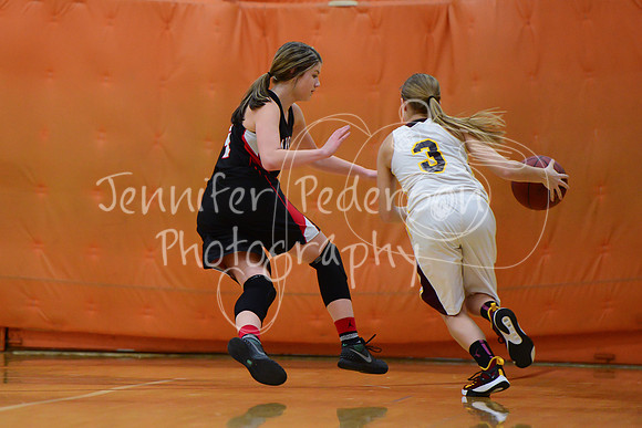 WHNGBBVarsity02022016-5969