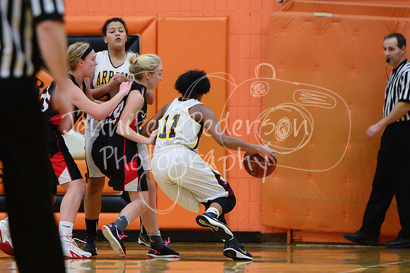 WHNGBBVarsity02022016-6028
