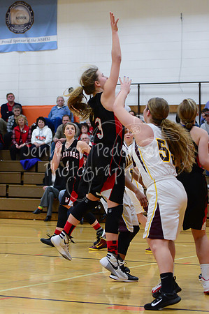 WHNGBBVarsity02022016-6100