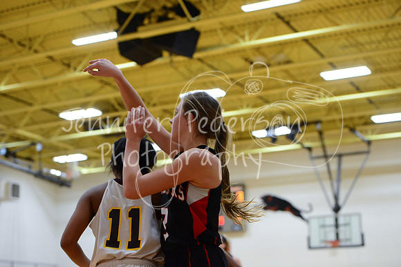 WHNGBBVarsity02022016-5849