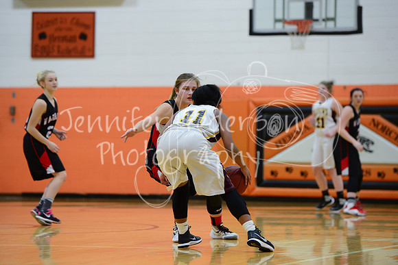 WHNGBBVarsity02022016-5815