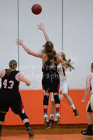 WHNGBBVarsity02022016-6062