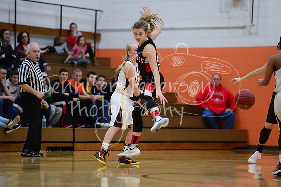 WHNGBBVarsity02022016-5727