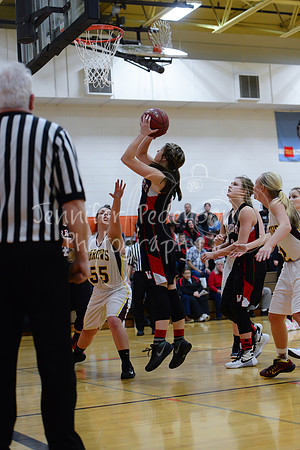 WHNGBBVarsity02022016-5944