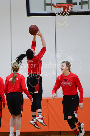 WHNGBBVarsity02022016-5669