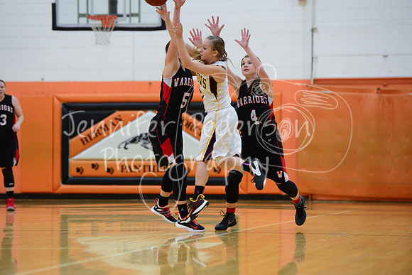 WHNGBBVarsity02022016-5789