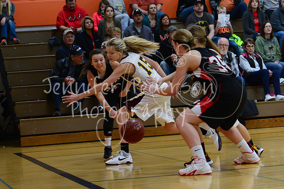 WHNGBBVarsity02022016-5980