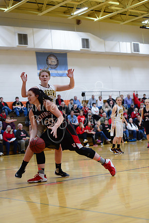 WHNGBBVarsity02022016-5834