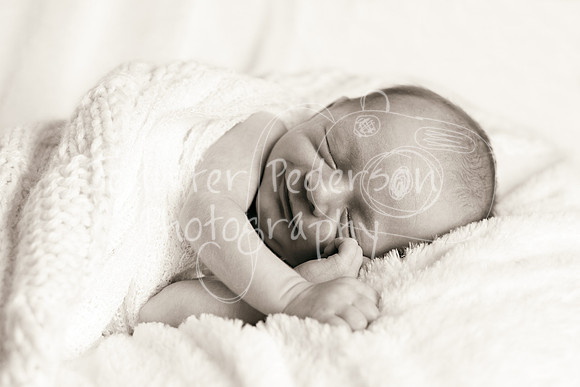 1J&A052013-0711a