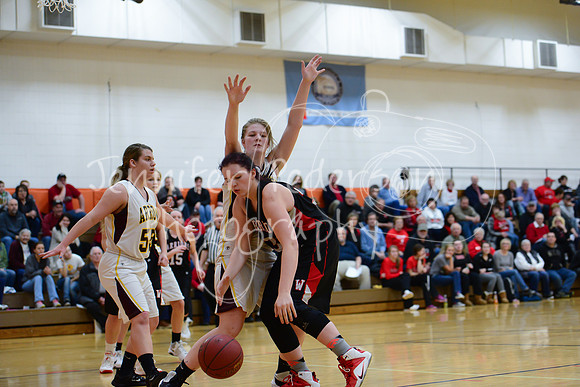 WHNGBBVarsity02022016-6001
