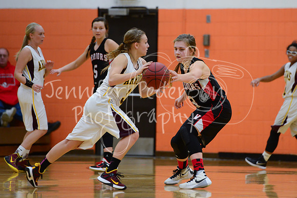 WHNGBBVarsity02022016-5911