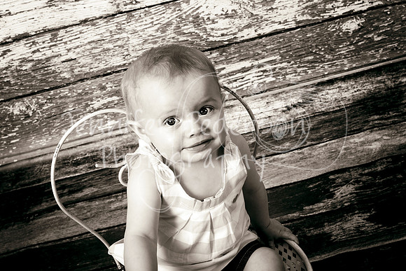 1Mitteness062013-2256a