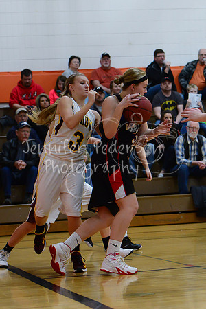 WHNGBBVarsity02022016-5981