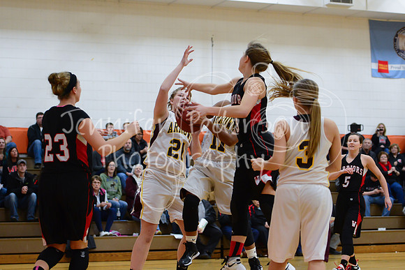 WHNGBBVarsity02022016-5747