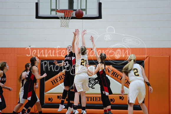 WHNGBBVarsity02022016-5761