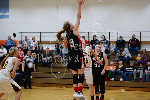 WHNGBBVarsity02022016-6059