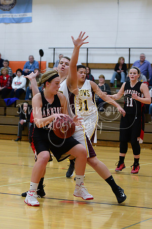 WHNGBBVarsity02022016-6271