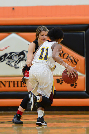 WHNGBBVarsity02022016-5748