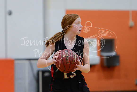 WHNGBBVarsity02022016-6237