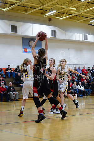 WHNGBBVarsity02022016-5943