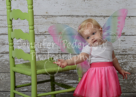 1Willow062013-8291