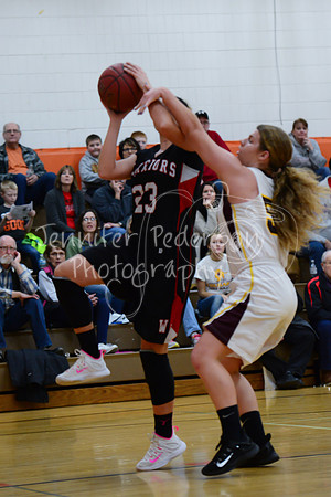 WHNGBBVarsity02022016-5992