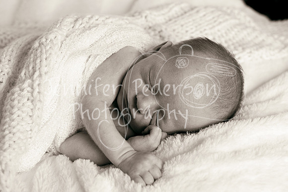 1J&A052013-0706a