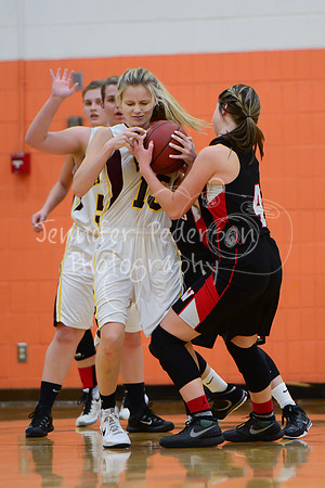 WHNGBBVarsity02022016-5965