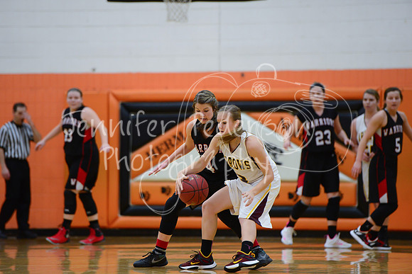 WHNGBBVarsity02022016-5791