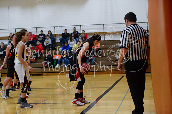 WHNGBBVarsity02022016-6224