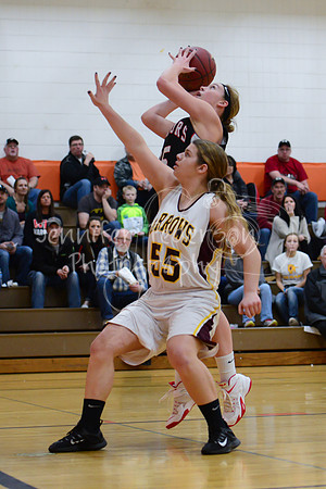 WHNGBBVarsity02022016-5903