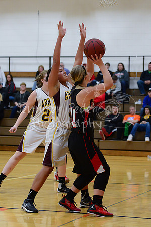 WHNGBBVarsity02022016-6232