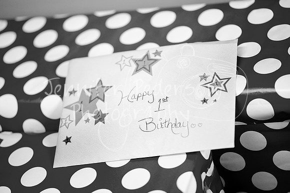 1HudsonHappy12013-8151