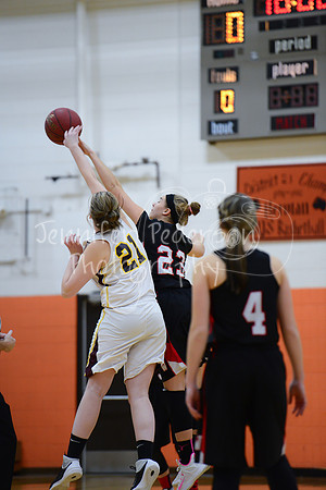 WHNGBBVarsity02022016-5706