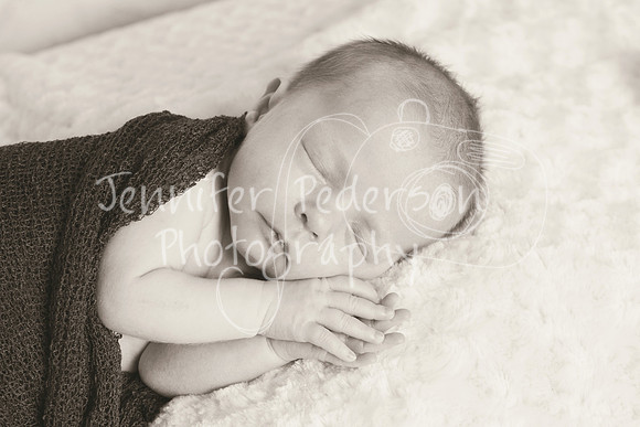 1J&A052013-0528a