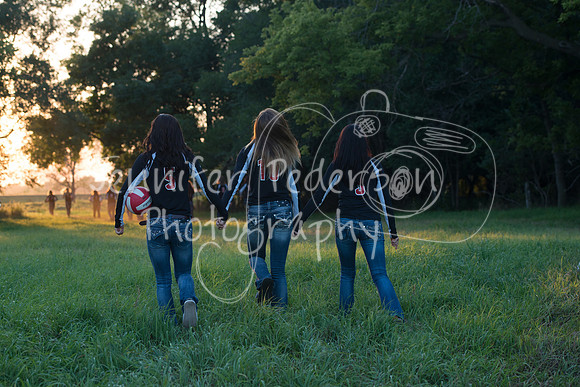 1WHNVARSITYVB2013-6870