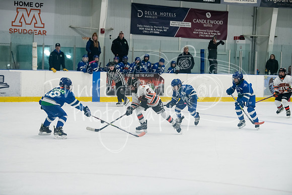 20241207Hockey-8929