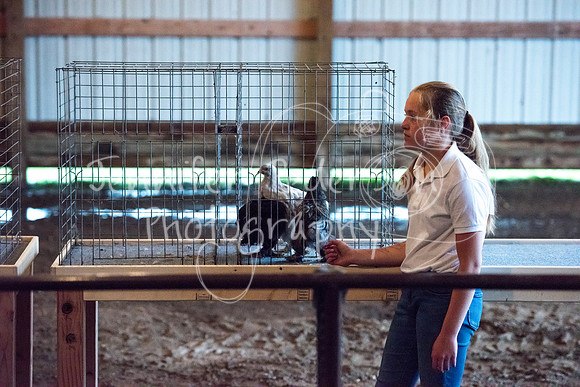GrantCounty4H2018Fair-1435