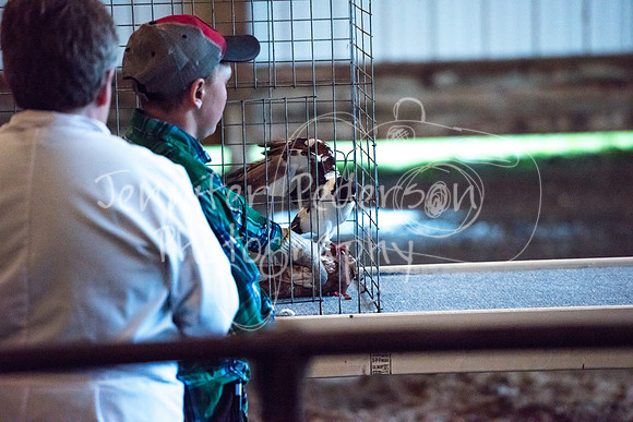 GrantCounty4H2018Fair-1449