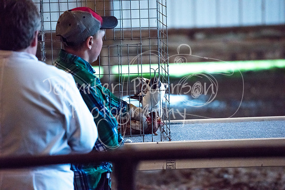 GrantCounty4H2018Fair-1450