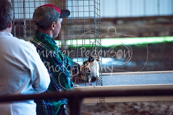 GrantCounty4H2018Fair-1451